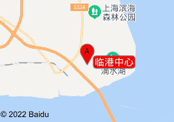 临港中心