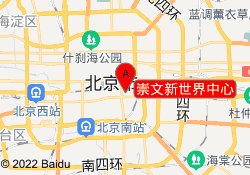 崇文新世界中心