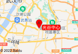 光谷中心