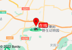在线