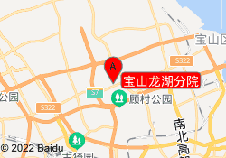 寶山龍湖分院