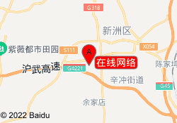 在线网络