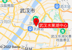 武汉水果湖中心