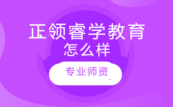 正领睿学教育怎么样