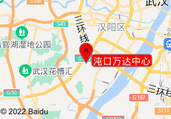 沌口万达中心