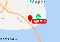 浦东中心