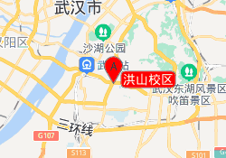 洪山校区