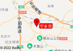 宁乡市
