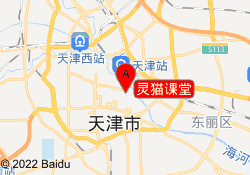 灵猫课堂