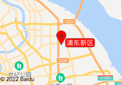 浦东新区