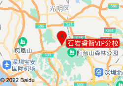 石岩睿智VIP分校