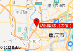 动因篮球训练馆（凤凰湾店）