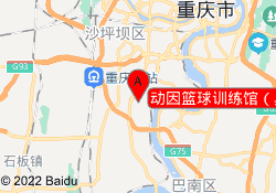 动因篮球训练馆（奥体公园店）