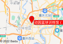 动因篮球训练馆（大石坝店）