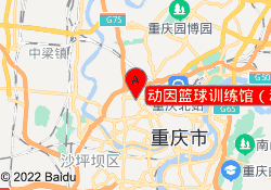 动因篮球训练馆（动步公园店）