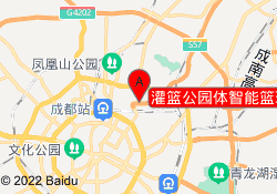 灌篮公园体智能篮球训练基地
