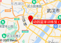 动因篮球训练馆（陶家岭店）