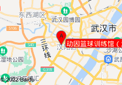 动因篮球训练馆（汉阳大桥局店）