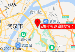 动因篮球训练馆（华侨城店）