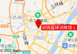 动因篮球训练馆（地调大楼店）