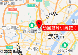 动因篮球训练馆（金雅大厦店）