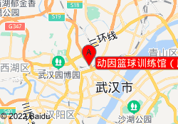 动因篮球训练馆（唐家墩店）