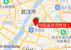 动因篮球训练馆（洪山路店）