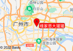 维家思大猩猩