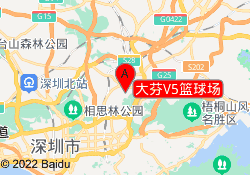 大芬V5篮球场