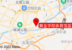 黄金学院体育馆蓝球场