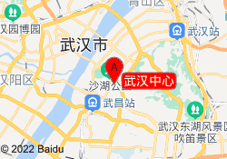武汉中心