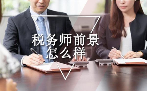 税务师职业发展全景解析