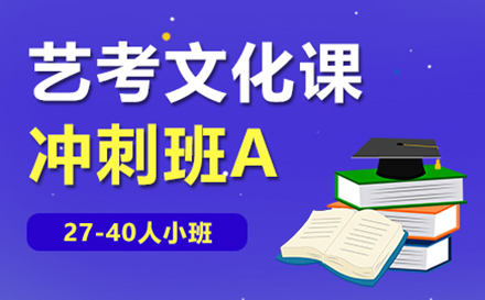 艺考文化课高考冲刺班A