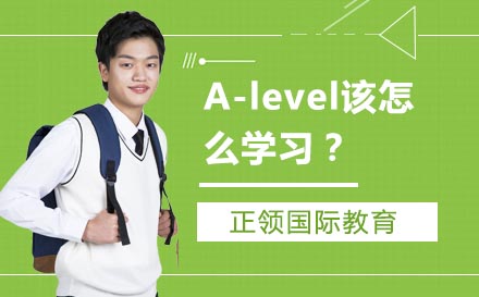 南京A-Level课程高效学习路径全解析