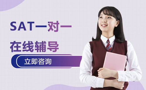 SAT一对一在线辅导课程