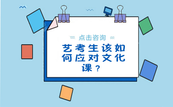 艺考生文化课突破指南