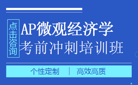 AP微观经济学考前冲刺培训班