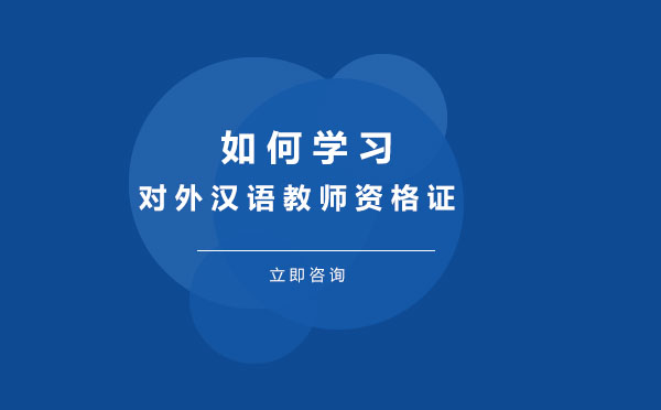国际汉语教师认证培训深度解析
