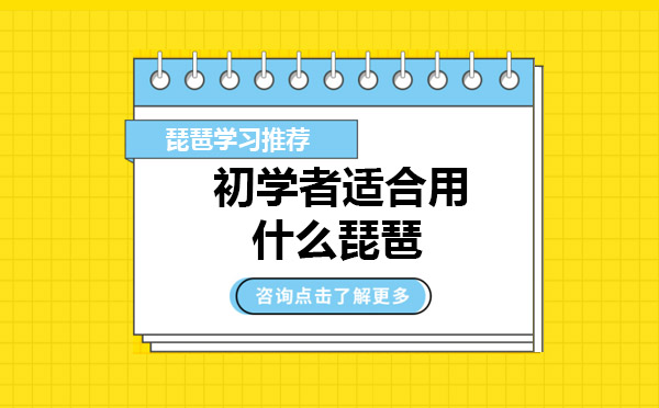 上海初学者适合用什么琵琶？