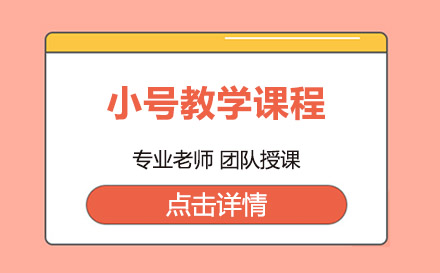 上海小號(hào)教學(xué)課程