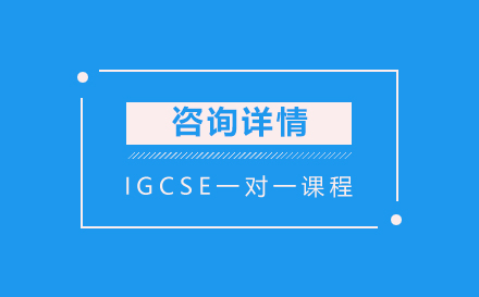 IGCSE一对一课程