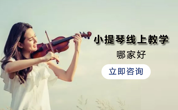 专业小提琴在线教育机构推荐