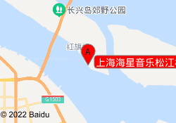 上海海星音乐网课