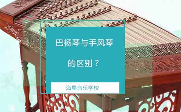 键钮式与键盘式手风琴深度解析