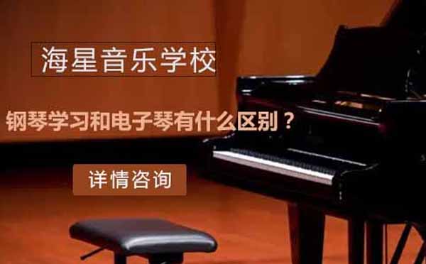 钢琴学习和电子琴有什么区别？