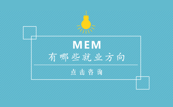 MEM有哪些*方向