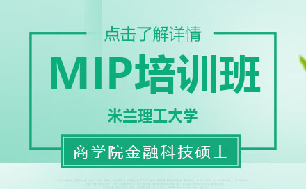 米兰理工大学MIP培训班