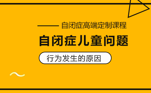 自闭症儿童问题行为发生的原因