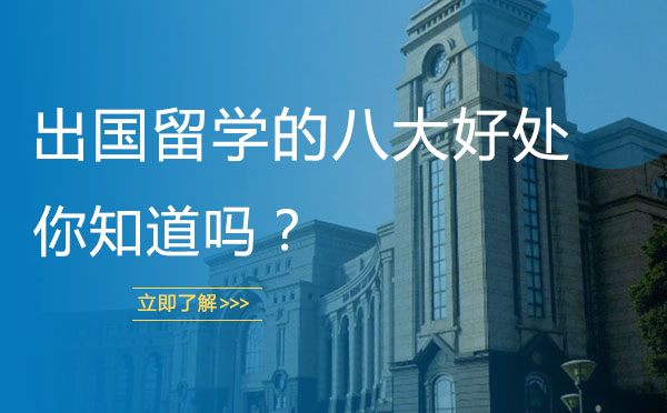国际教育新视野：探索海外深造的八重价值