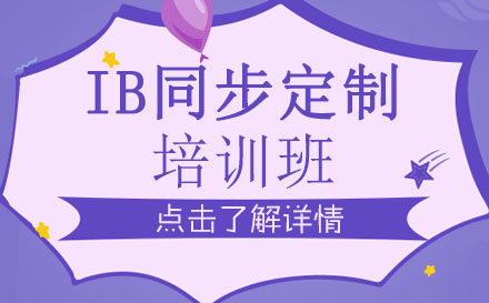 IB同步定制培训班